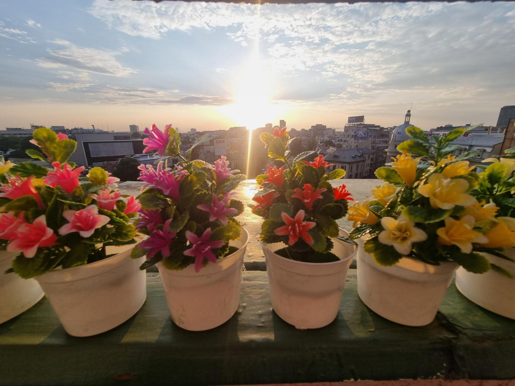Golden Studio- Panoramic View With Terrace * Bucharest